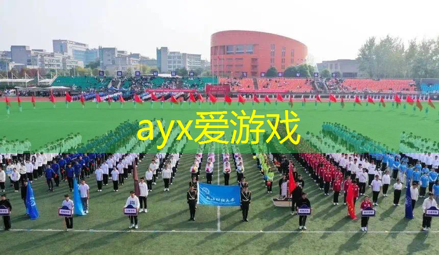 兹维列夫2019网球拍