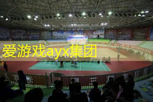迪卡侬23网球拍