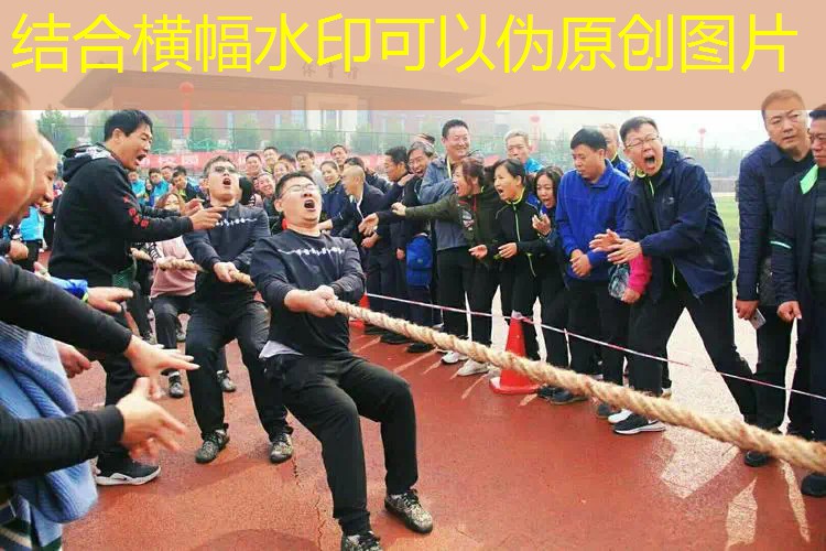 网球拍线磅数怎么看