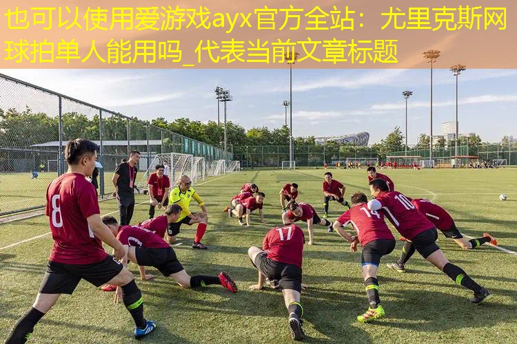 尤里克斯网球拍单人能用吗_